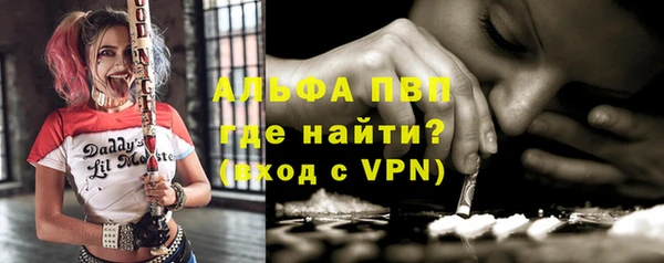 сатива Каменск-Шахтинский