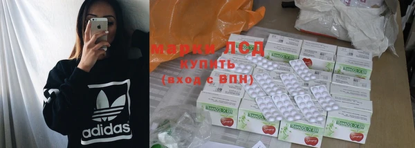 стафф Ростов