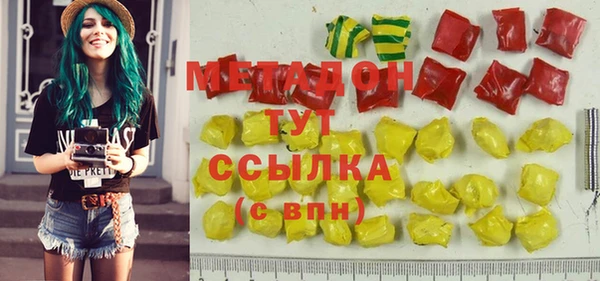 сатива Каменка