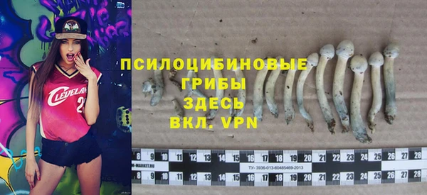 2c-b Россошь