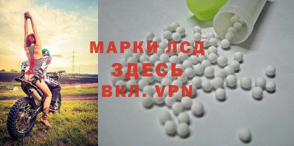 стафф Ростов
